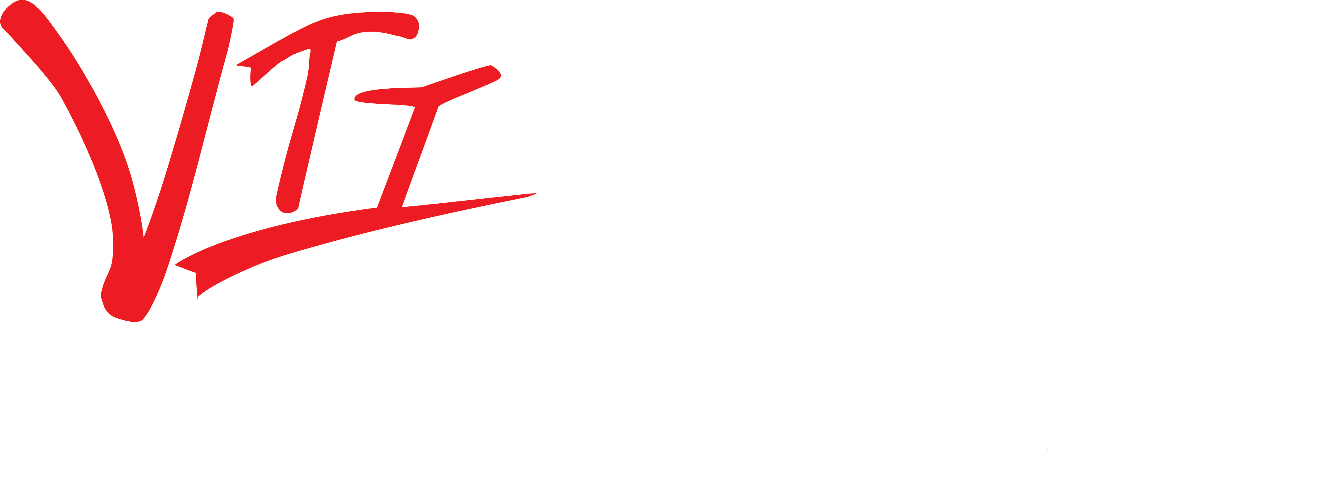 Vision Trade International 